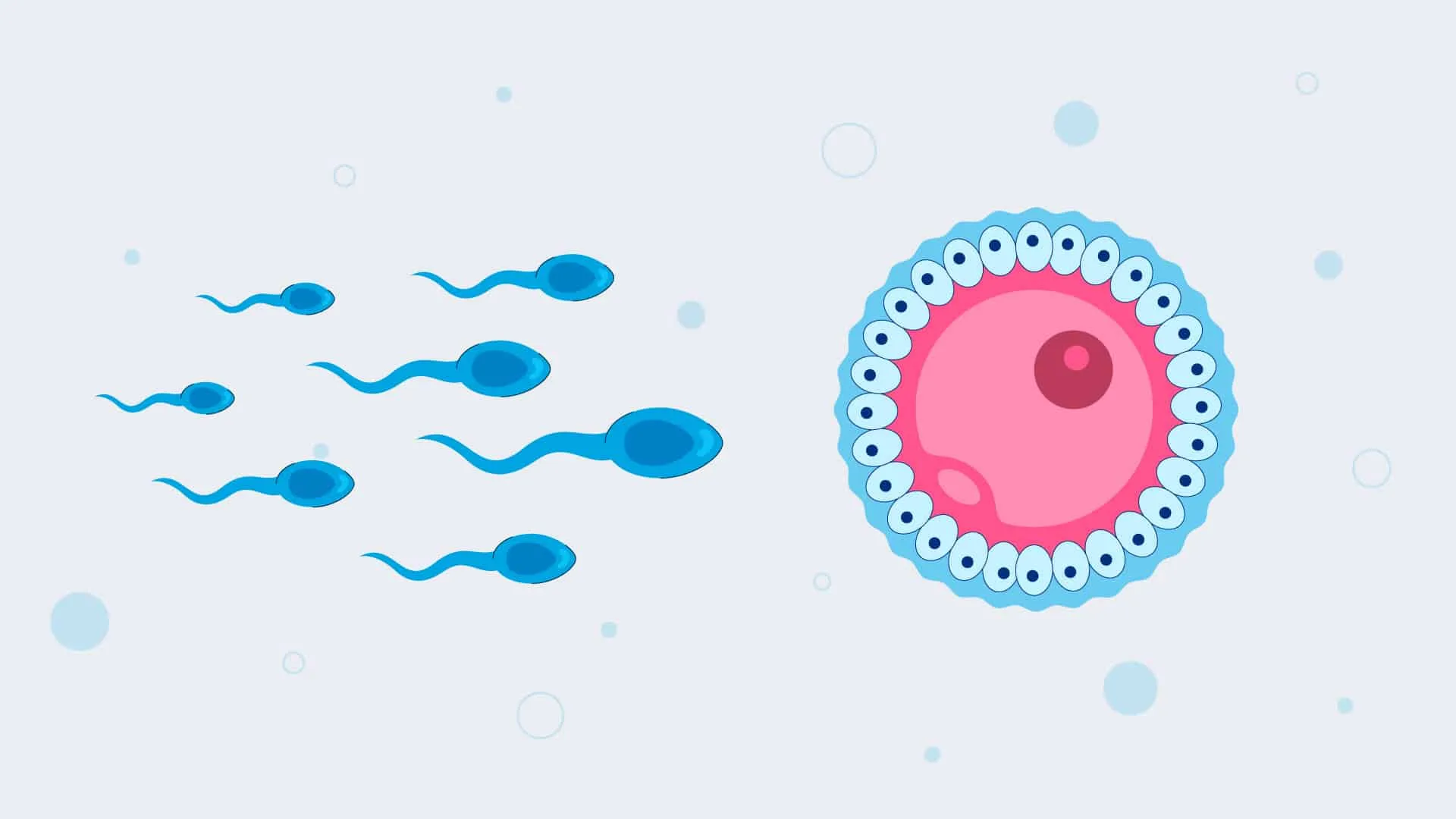 Epigenetics