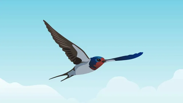 Vogelzug